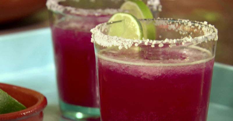 cocktail Margarita Cactus