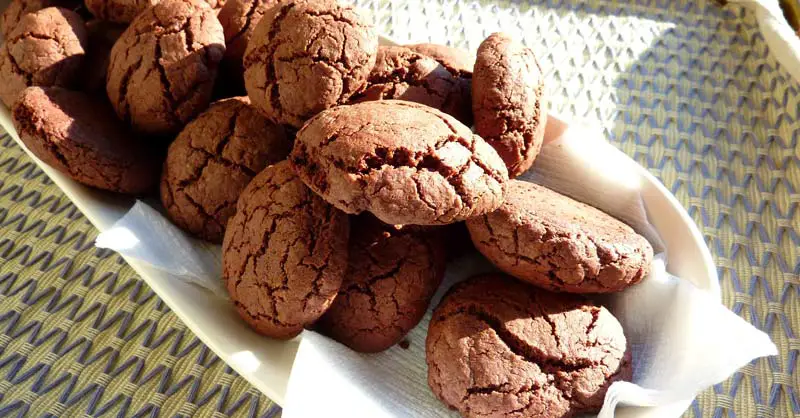 galletas de cacao sin gluten