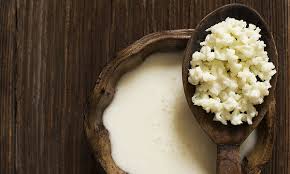 Kefir