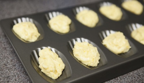 Madeleines Madeleines