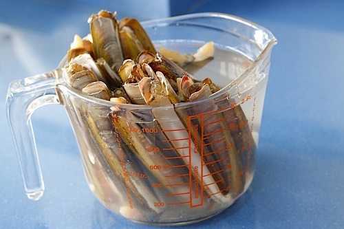 Navajas a la plancha