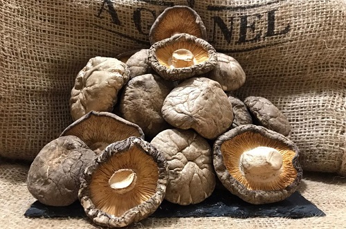 Setas shiitake caramelizadas