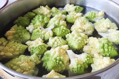 Romanescu con bechamel al horno